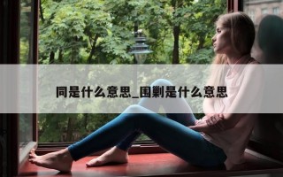 同是什么意思_围剿是什么意思