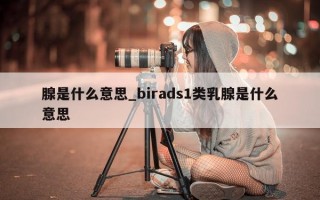 腺是什么意思_birads1 类乳腺是什么意思