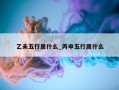 乙未五行属什么_丙申五行属什么