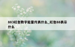 883 红包数字能量代表什么_红包 88 表示什么