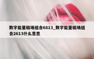 数字能量磁场组合 6813_数字能量磁场组合 2613 什么意思