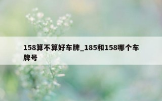 158 算不算好车牌_185 和 158 哪个车牌号