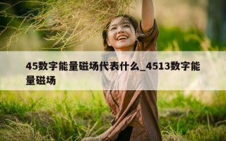 45 数字能量磁场代表什么_4513 数字能量磁场