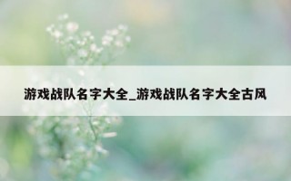 游戏战队名字大全_游戏战队名字大全古风