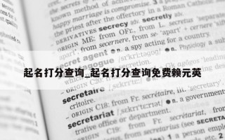 起名打分查询_起名打分查询免费赖元英