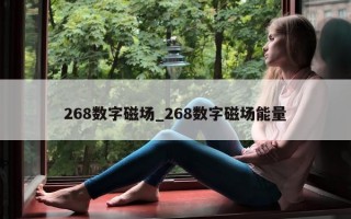 268 数字磁场_268 数字磁场能量