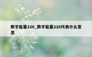 数字能量 226_数字能量 226 代表什么意思