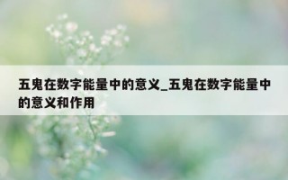 五鬼在数字能量中的意义_五鬼在数字能量中的意义和作用