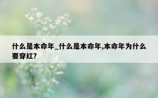 什么是本命年_什么是本命年,本命年为什么要穿红?