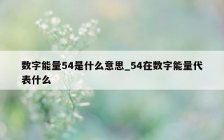 数字能量 54 是什么意思_54 在数字能量代表什么