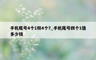 手机尾号 4 个 1 和 4 个 7_手机尾号四个 1 值多少钱