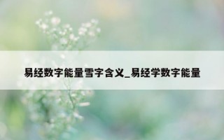 易经数字能量雪字含义_易经学数字能量