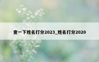 查一下姓名打分 2023_姓名打分 2020