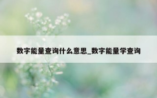 数字能量查询什么意思_数字能量学查询