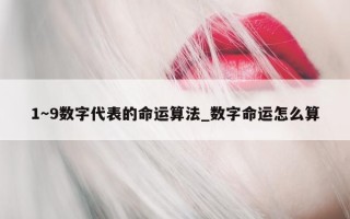 1～9 数字代表的命运算法_数字命运怎么算