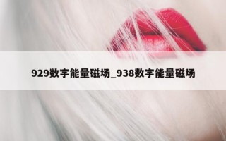 929 数字能量磁场_938 数字能量磁场