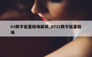 63 数字能量磁场解读_6731 数字能量磁场