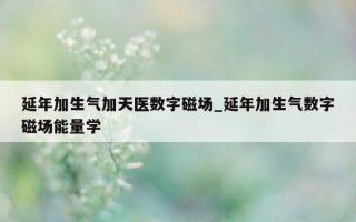 延年加生气加天医数字磁场_延年加生气数字磁场能量学