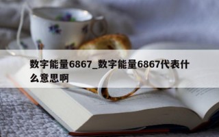 数字能量 6867_数字能量 6867 代表什么意思啊