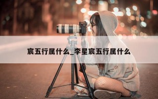 宸五行属什么_李星宸五行属什么