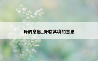 斥的意思_身临其境的意思