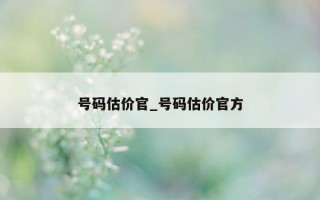 号码估价官_号码估价官方