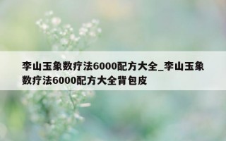 李山玉象数疗法 6000 配方大全_李山玉象数疗法 6000 配方大全背包皮