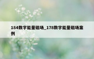 184 数字能量磁场_178 数字能量磁场案例