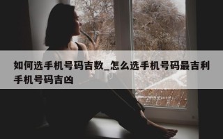 如何选手机号码吉数_怎么选手机号码最吉利手机号码吉凶