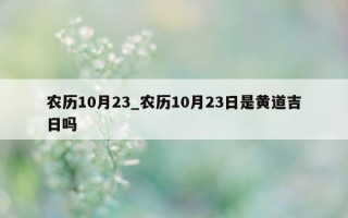 农历 10 月 23_农历 10 月 23 日是黄道吉日吗