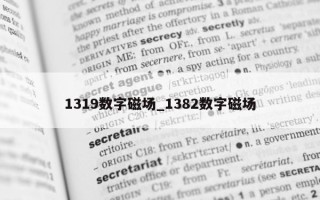 1319 数字磁场_1382 数字磁场