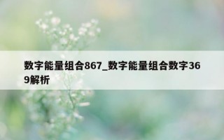 数字能量组合 867_数字能量组合数字 369 解析