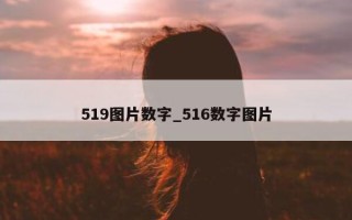 519图片数字_516数字图片