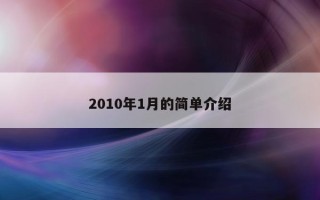 2010年1月的简单介绍