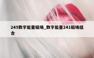 245 数字能量磁场_数字能量 241 磁场组合