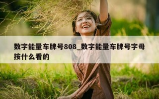 数字能量车牌号 808_数字能量车牌号字母按什么看的