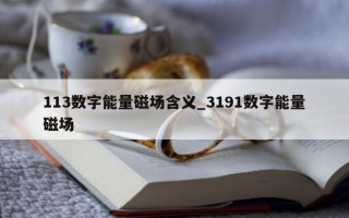 113 数字能量磁场含义_3191 数字能量磁场