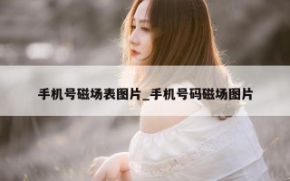 手机号磁场表图片_手机号码磁场图片