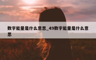 数字能量是什么意思_49 数字能量是什么意思