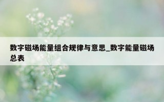 数字磁场能量组合规律与意思_数字能量磁场总表