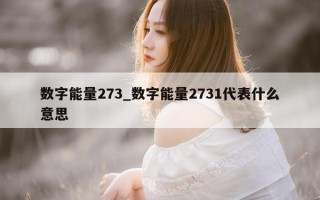 数字能量 273_数字能量 2731 代表什么意思