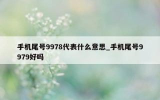 手机尾号 9978 代表什么意思_手机尾号 9979 好吗