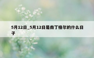 5 月 12 日_5 月 12 日是南丁格尔的什么日子