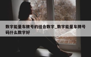 数字能量车牌号的组合数字_数字能量车牌号码什么数字好