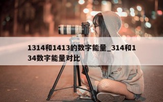 1314 和 1413 的数字能量_314 和 134 数字能量对比