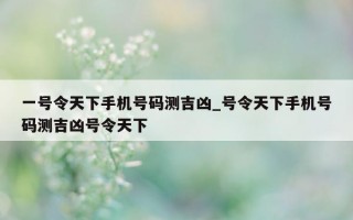 一号令天下手机号码测吉凶_号令天下手机号码测吉凶号令天下