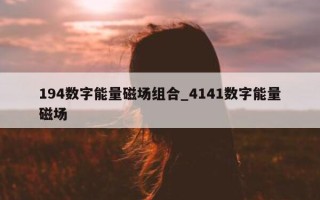 194 数字能量磁场组合_4141 数字能量磁场