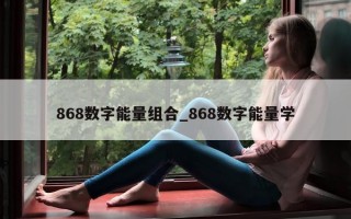 868 数字能量组合_868 数字能量学