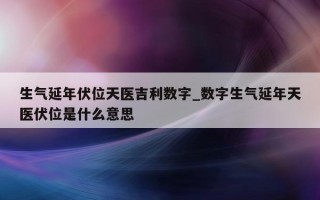 生气延年伏位天医吉利数字_数字生气延年天医伏位是什么意思