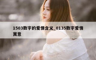 1503 数字的爱情含义_0135 数字爱情寓意